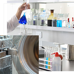 惠州樱花草网站在线观看：樱花草影视WWW在线中文的五个常见问题