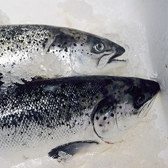 新发地三文鱼案板检测出新冠病毒，，北京多家超市连夜下架三文鱼，北京新增三个病例