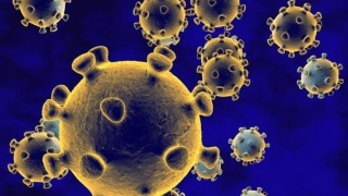 新冠疫情：31个省新增4例，其中北京一例本地新增